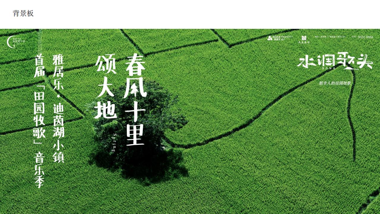 金燕达观2021水调歌头田园小镇传播方案._88.jpg