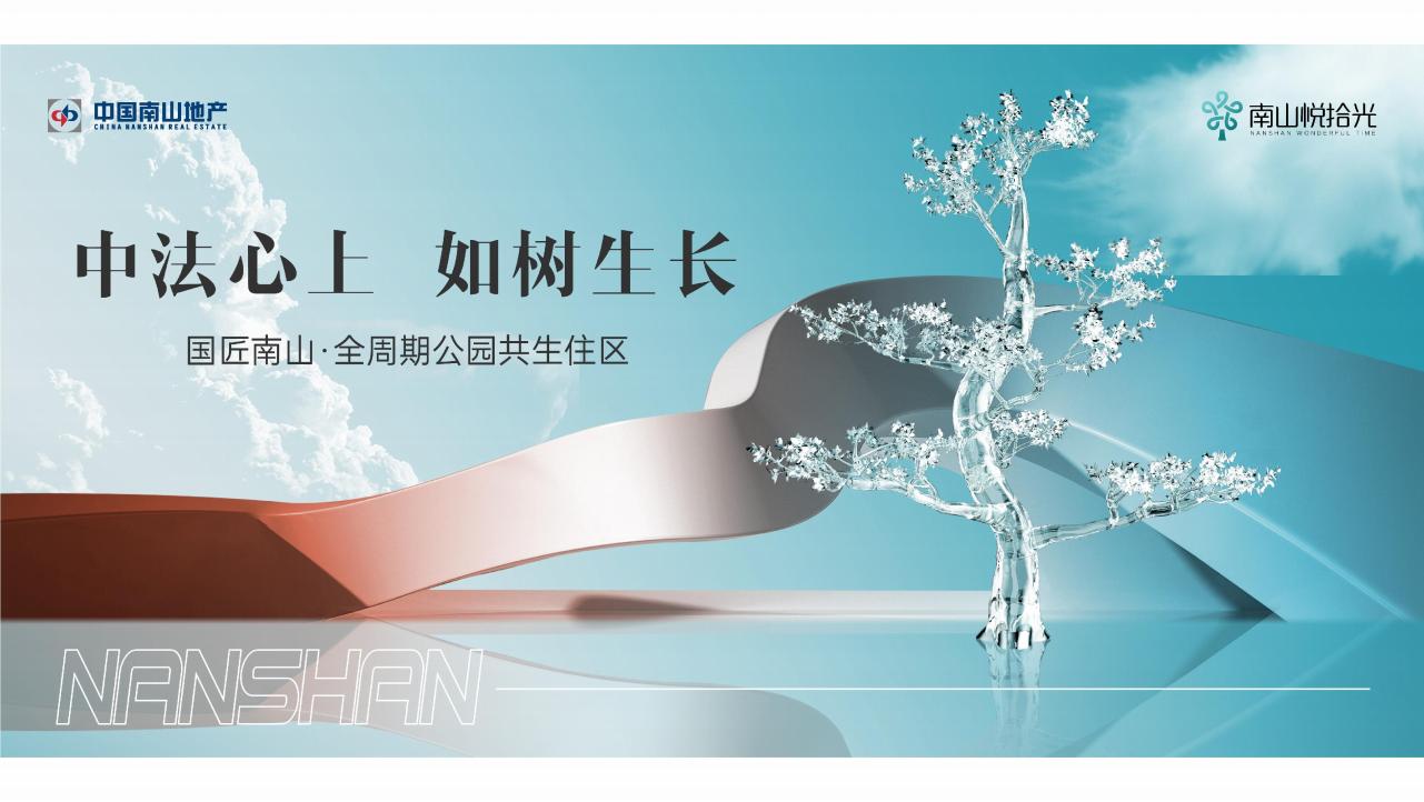 青铜骑士202207武汉南山品牌战略项目提报_78.jpg