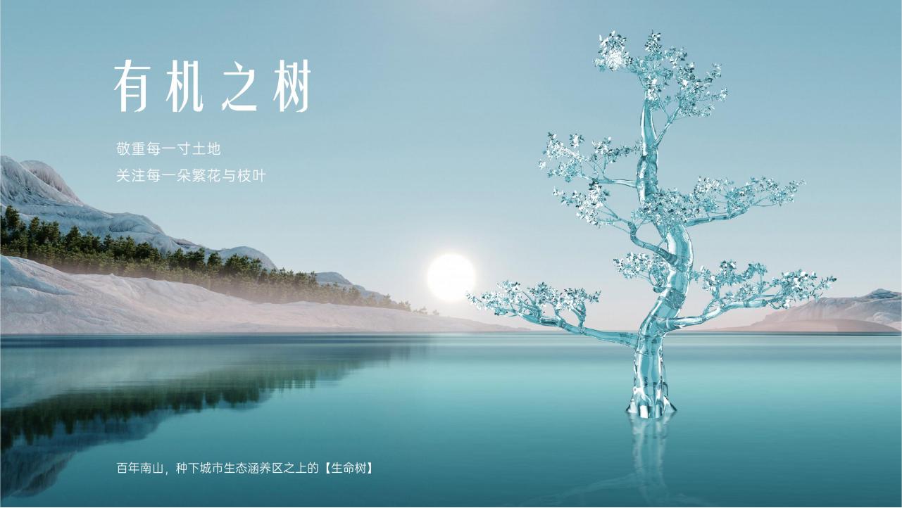 青铜骑士202207武汉南山品牌战略项目提报_82.jpg