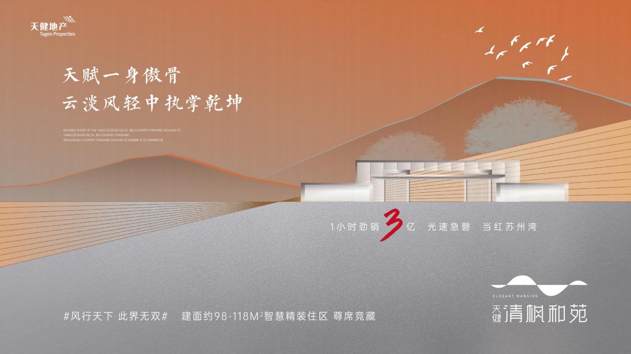 黑马骑士出品-天健苏州·吴江太湖新城双子地块 策略推广提案_208.jpg