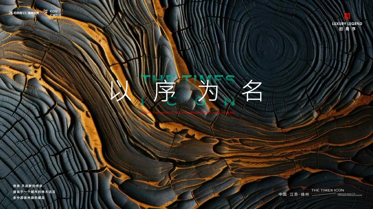 与众2024徐州招商序策略暨传播方案第二波_161.jpg