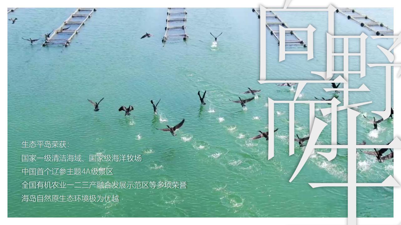 大连小平岛-中国首个参主题海岛文旅内容规划_03.jpg