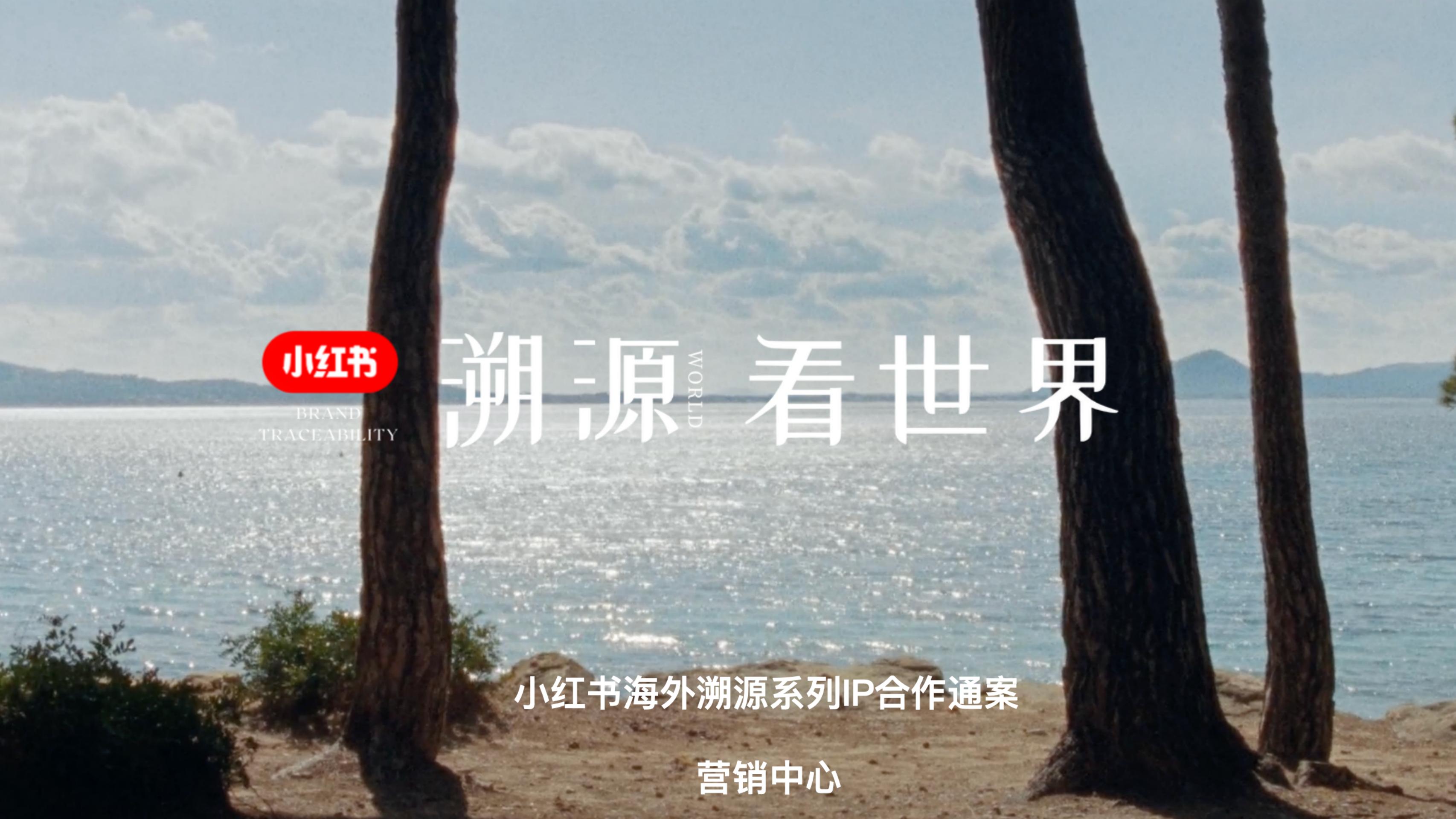 2024小红书海外市场IP溯源看世界IP招商_00.jpg