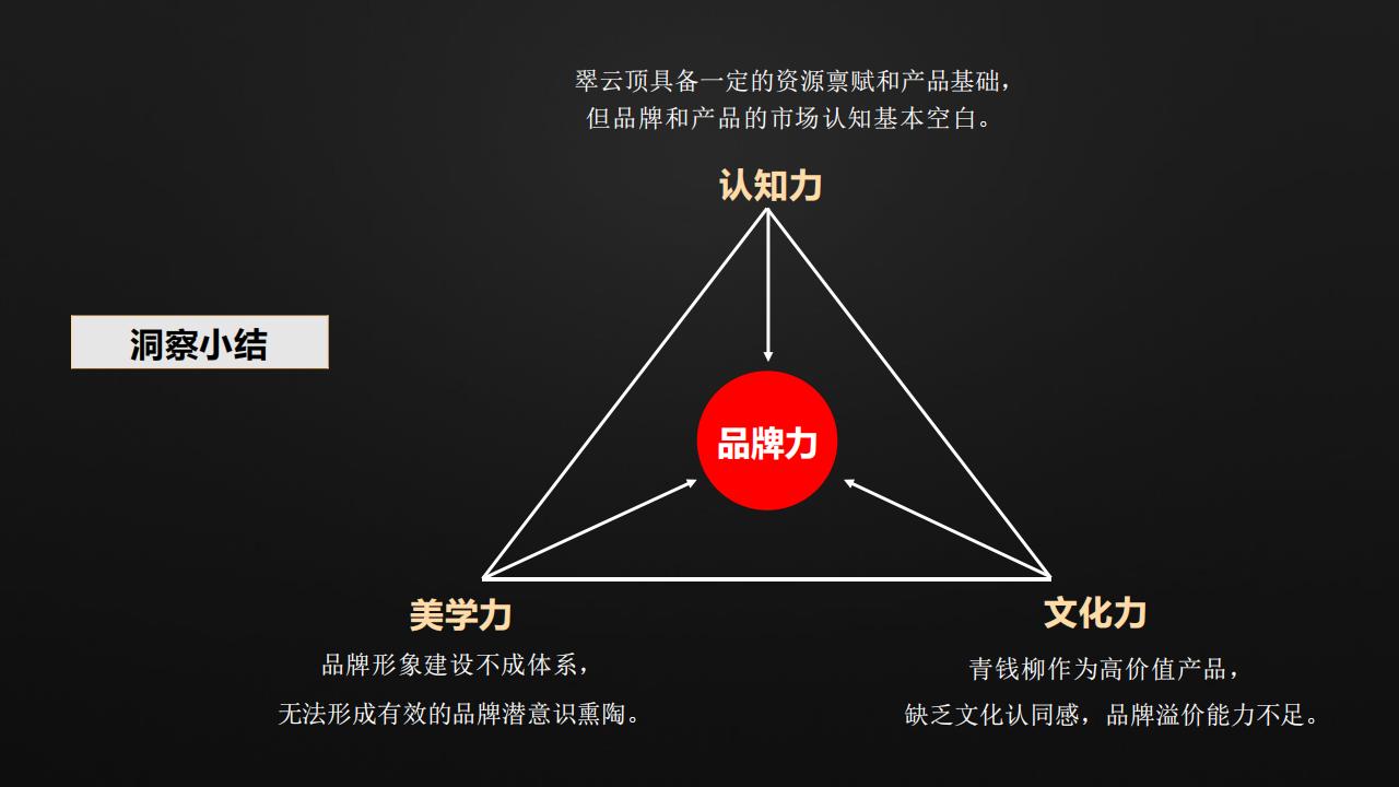 大和战略（文和友指定战略机构）张家界翠雲顶茶品牌战略定位升级全案207P_15.jpg