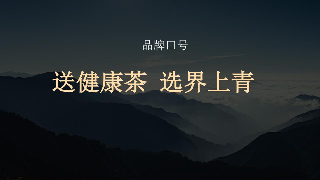 大和战略（文和友指定战略机构）张家界翠雲顶茶品牌战略定位升级全案207P_118.jpg