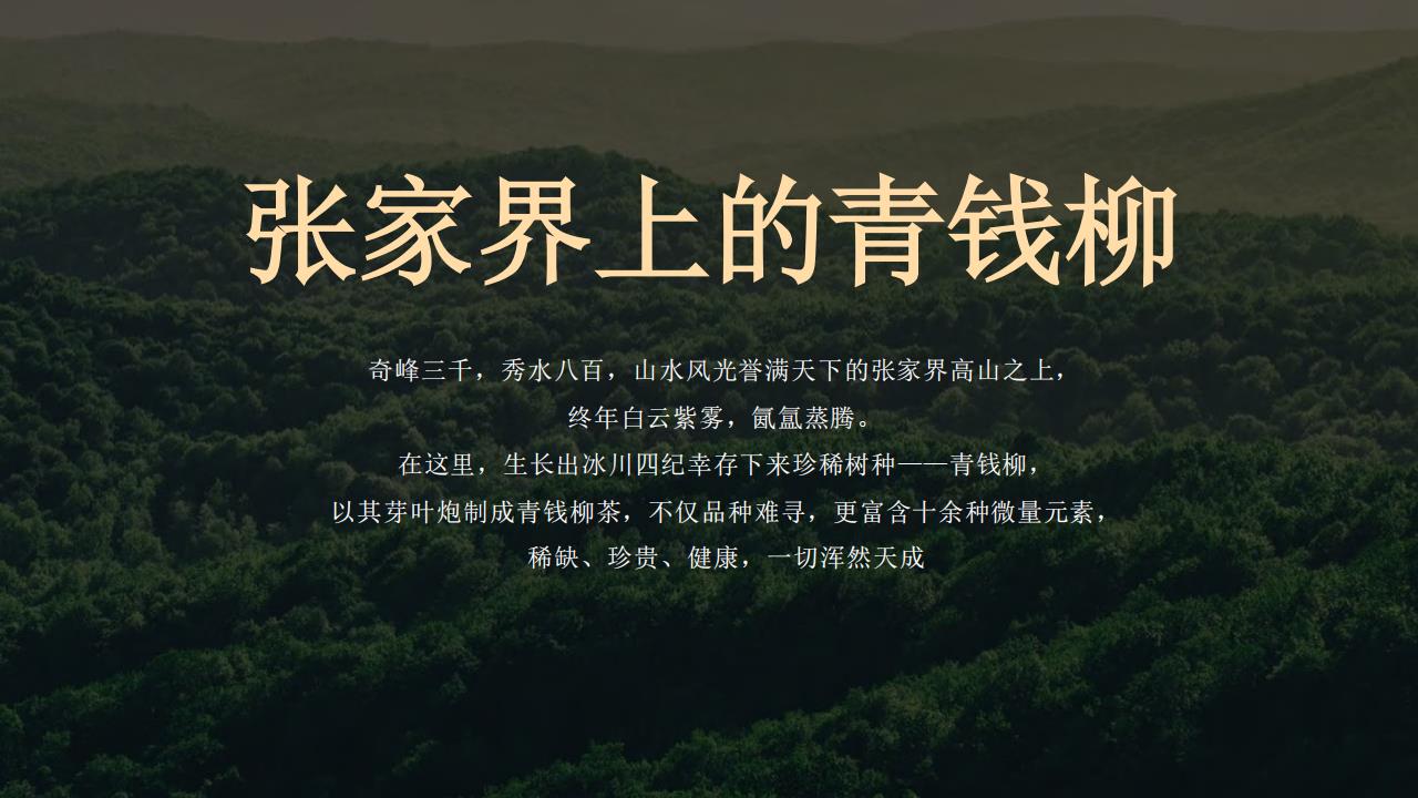 大和战略（文和友指定战略机构）张家界翠雲顶茶品牌战略定位升级全案207P_104.jpg