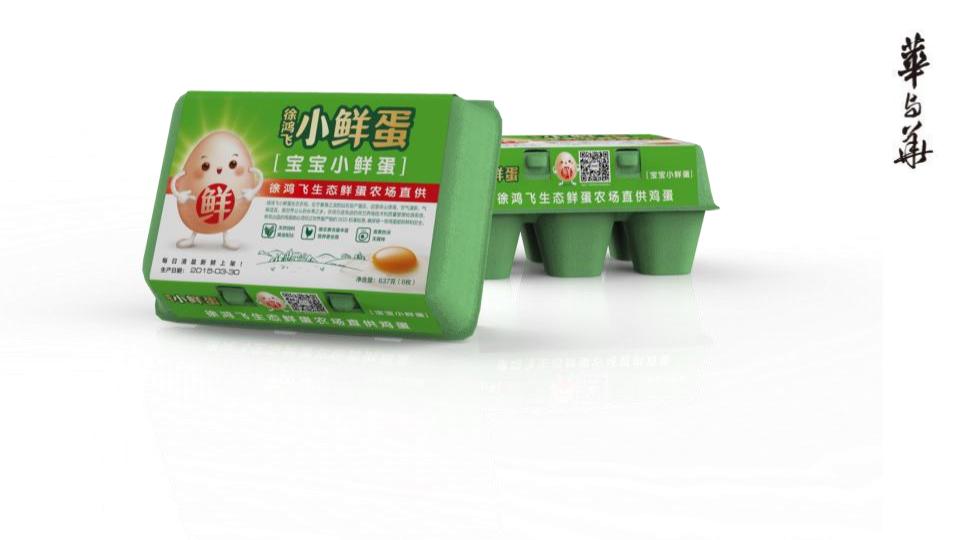 华与华农业品牌“小鲜蛋”战略创意报告全案-131p_93.jpg