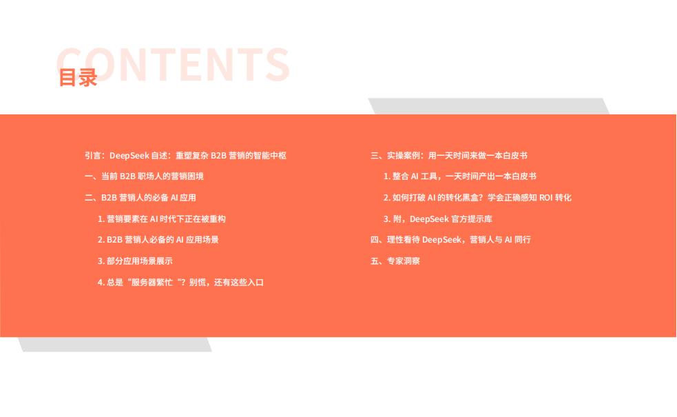2025年B2B营销人的专属DeepSeek操作手册_02.jpg
