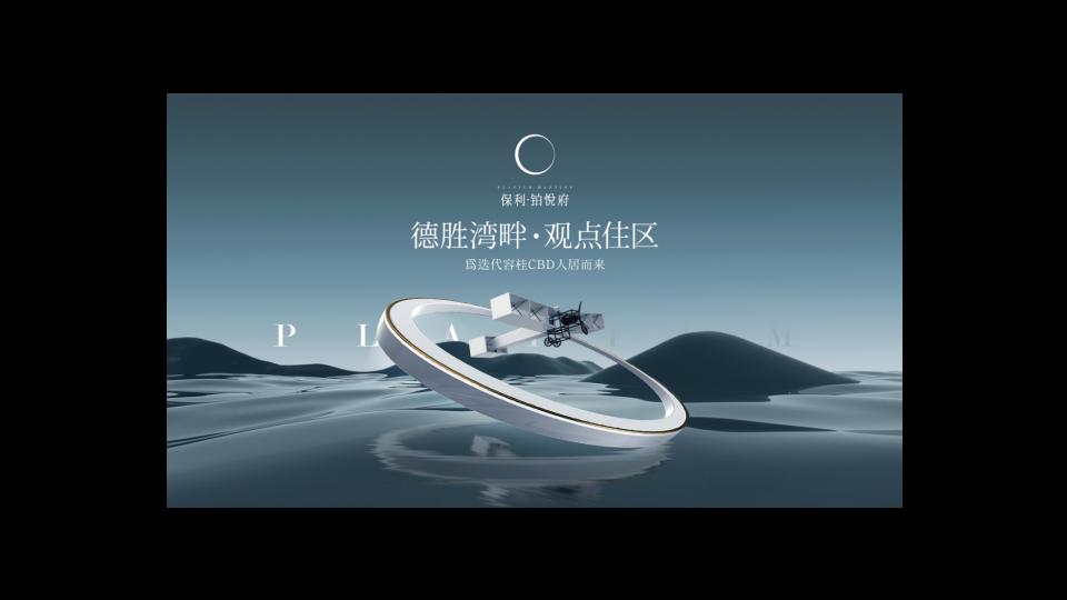 2024金燕达观-保利·铂悦府推广战略策动方案_70.jpg