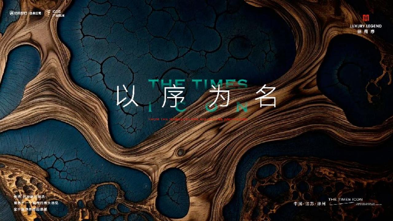 与众2024徐州招商序策略暨传播方案第一轮_170.jpg