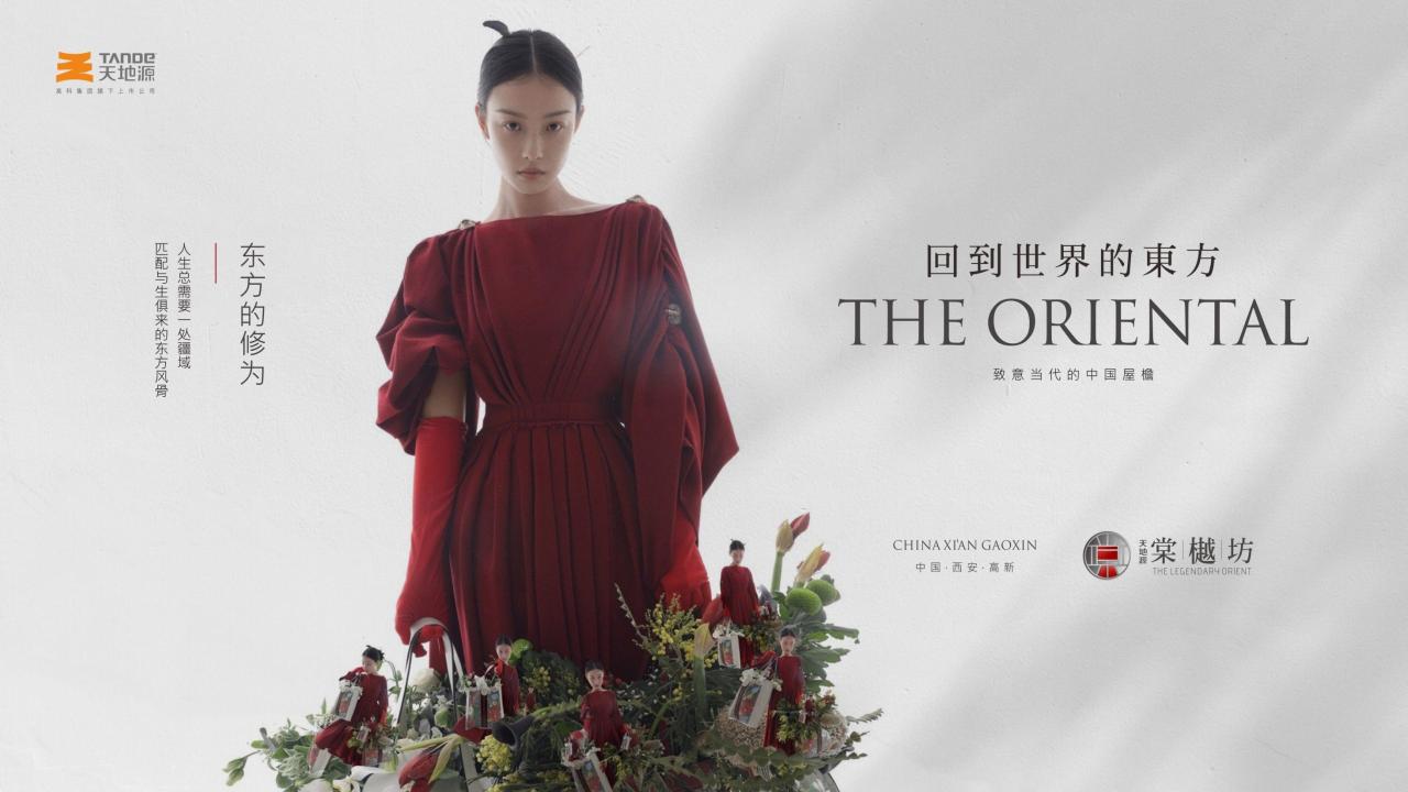 麦芒传播-天地源棠樾坊整合推广案_247.jpg