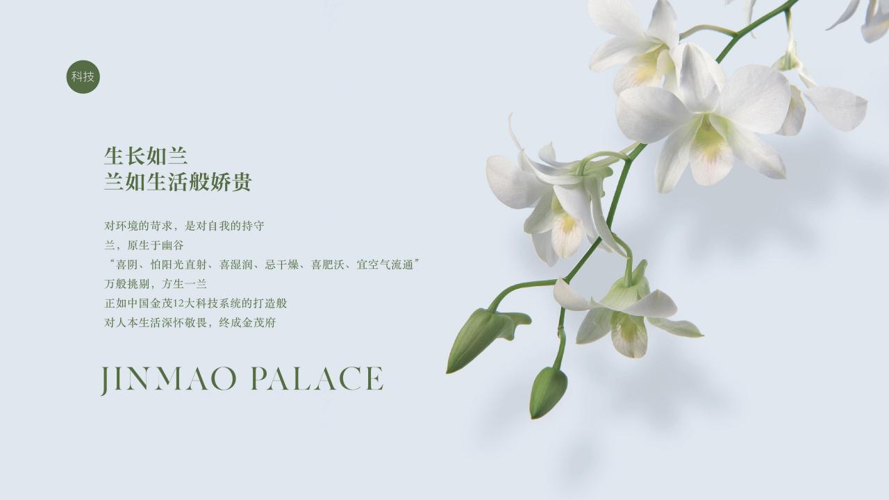 202403中国金茂金玉满堂新产品系VI体系应用标准 123P_06.jpg
