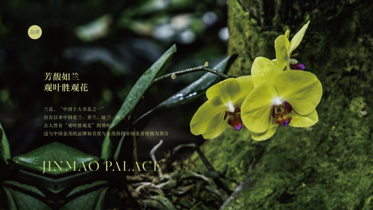 202403中国金茂金玉满堂新产品系VI体系应用标准 123P_04.jpg