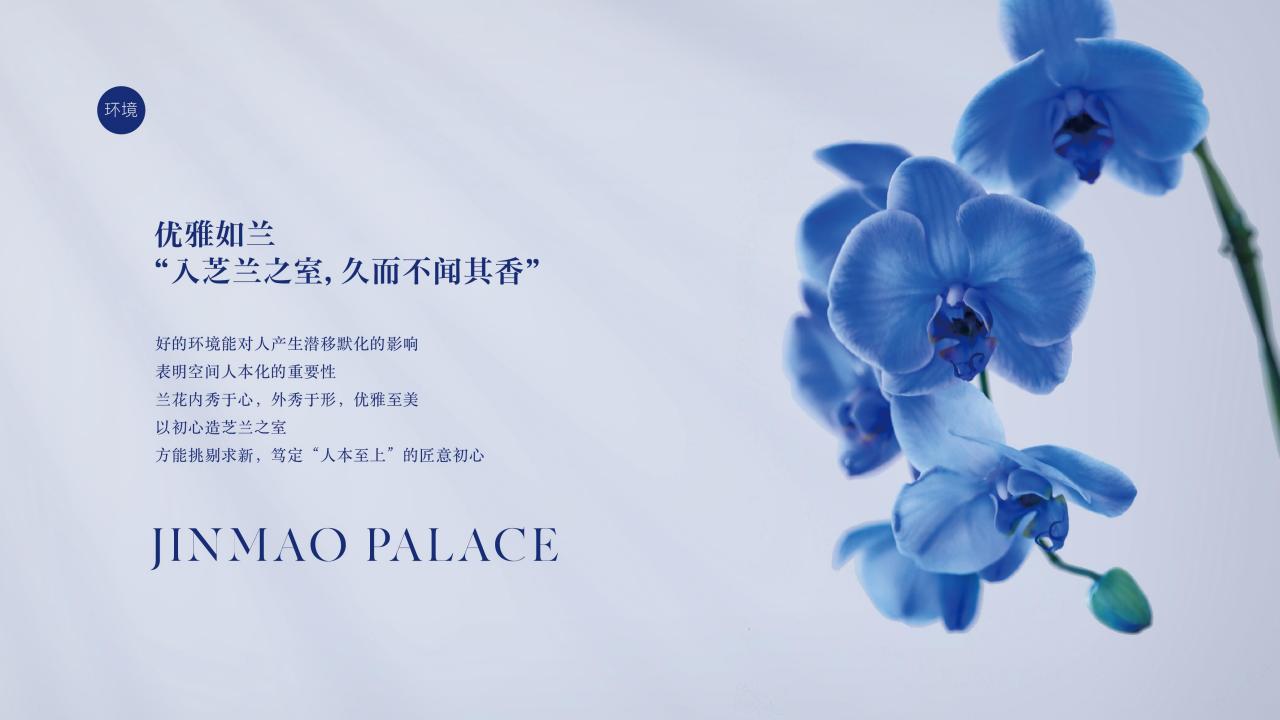202403中国金茂金玉满堂新产品系VI体系应用标准 123P_07.jpg