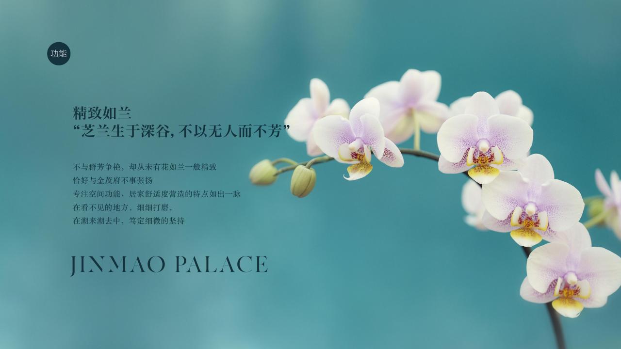 202403中国金茂金玉满堂新产品系VI体系应用标准 123P_08.jpg
