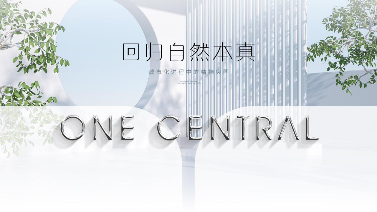 上海利外202407府南壹号整合策略报告_117.jpg