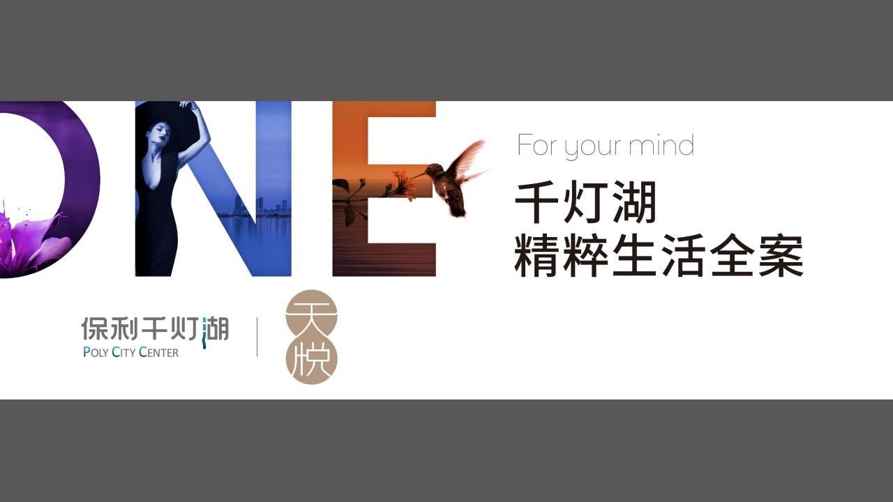 例外传播-保利天悦推广传播提报_86.jpg