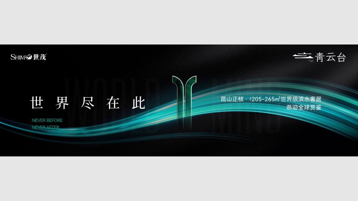 上海新壹点2025上海青云台故事线推广方案_150.jpg